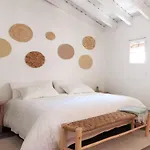 Prázdninový dům Casa El Olmo De Navajas